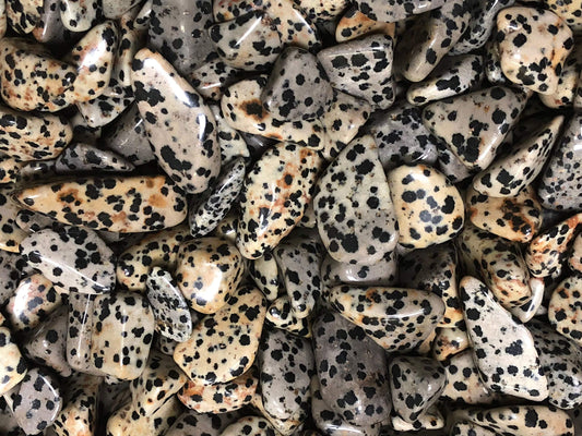 Zentron Crystal Collection: Tumbled Dalmation Jasper, Includes Velvet Bag - Large 1" Pieces