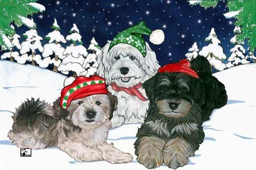 Havanese Christmas Cards : 10 Holiday Cards with White Envelopes - ADORABLE!