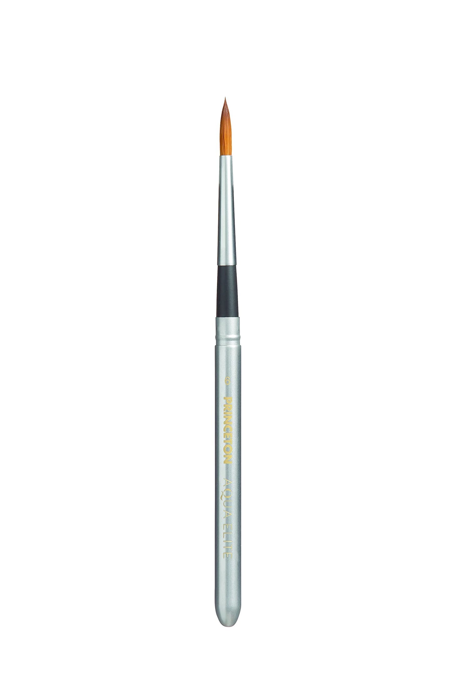 Princeton Paintbrush