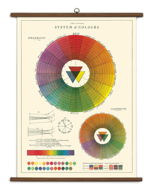 Cavallini Papers & Co., Inc. Periodic Vintage School Chart, Multi