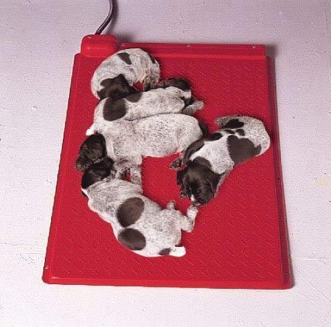 Kane Electric Pet Heat Mat - Self Regulated 18x18