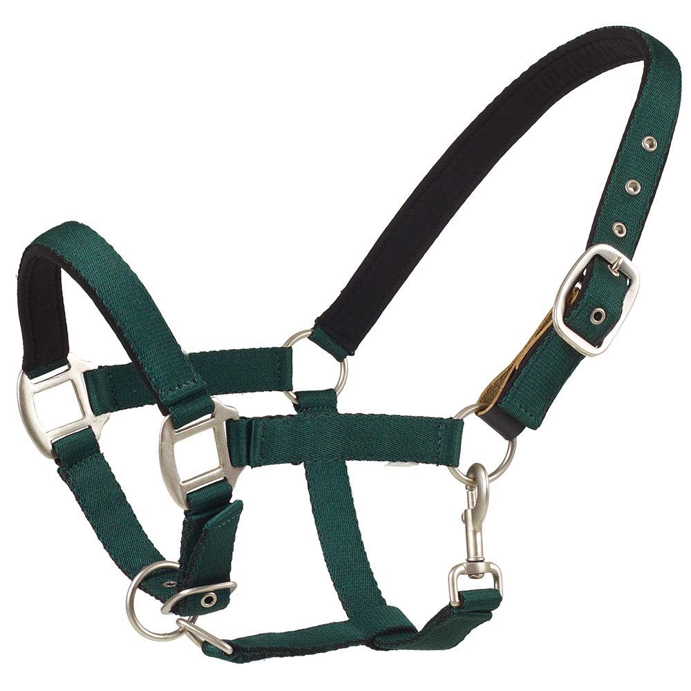 Centaur Solid Cushion Padded Breakaway Halter