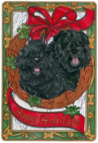 Pipsqueak Bouvier Des Flandres Christmas Cards : 10 Holiday Cards with Red Envelopes - ADORABLE!
