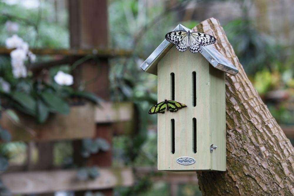 Esschert Design Butterfly House