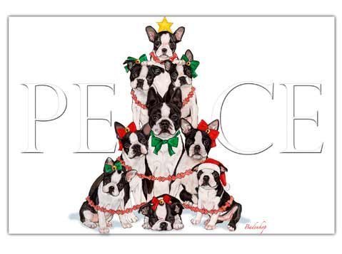 Pipsqueak Boston Terrier Christmas Cards Peace : 10 Holiday Cards with Envelopes