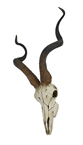 Veronese Design African Kudu Antelope Skull Wall Hanging Cool Twisted Horns