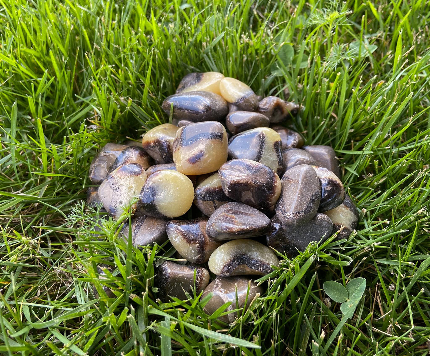 Zentron Crystal Collection Tumbled Septarian
