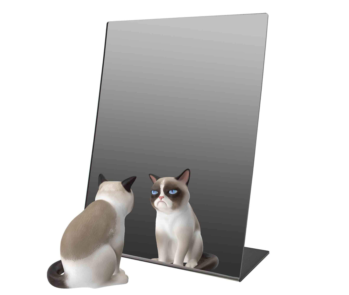 Marketing Holders Freestanding Acrylic Mirror 10" x 8" Slant Back Reflective Portable Lucite Stand for Retail Jewelry Piercing Counters Makeup Vanities and Hair Salons