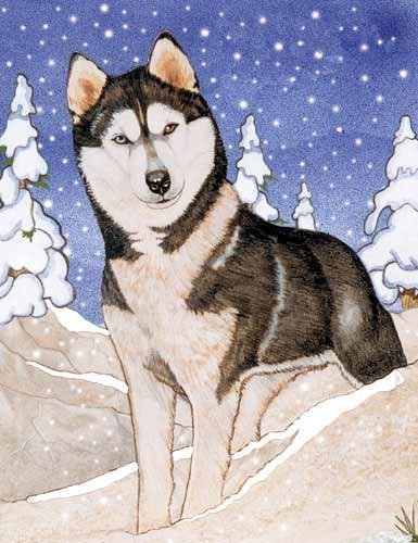 Pipsqueak Siberian Husky Christmas Cards : 10 Holiday Cards with Envelopes - ADORABLE!