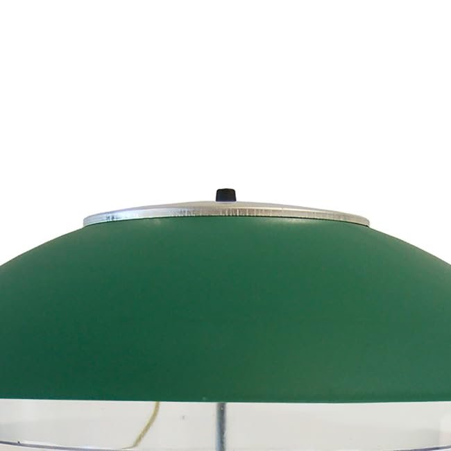 Wild Bills Electronic Bird Feeder & Waste Free Seed, 8 Port