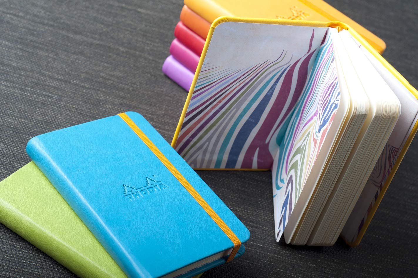 Rhodia Rhodiarama Leatherette Softcover Notebook