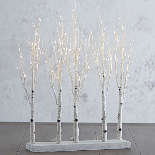 Raz 30 Inch Lighted Birch Grove NEW with Twinkle Lights and Steady Functions, Indoor/Outdoor