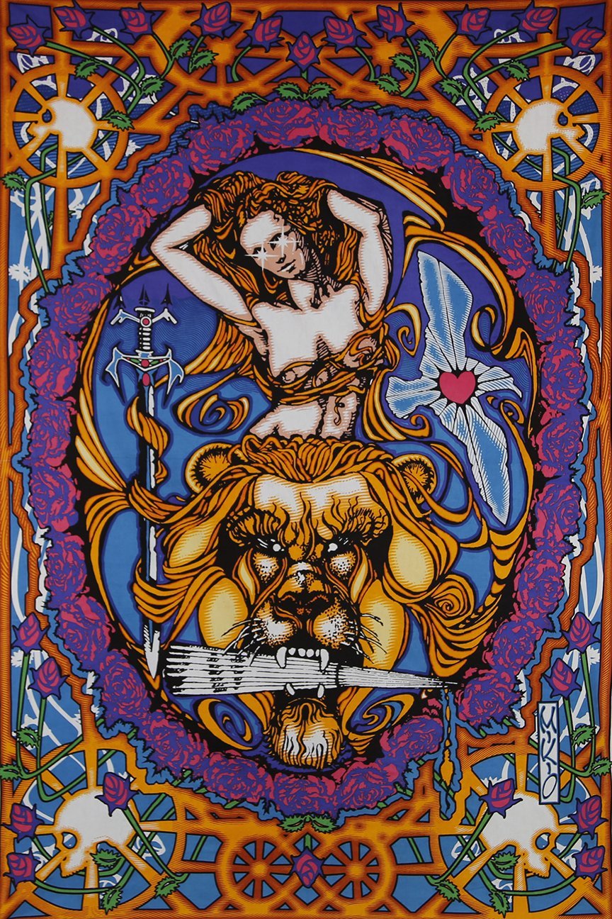 Sunshine Joy 3D Lady Of Carlisle Psych Art Tapestry Wall Hanging Huge 60x90 Inches