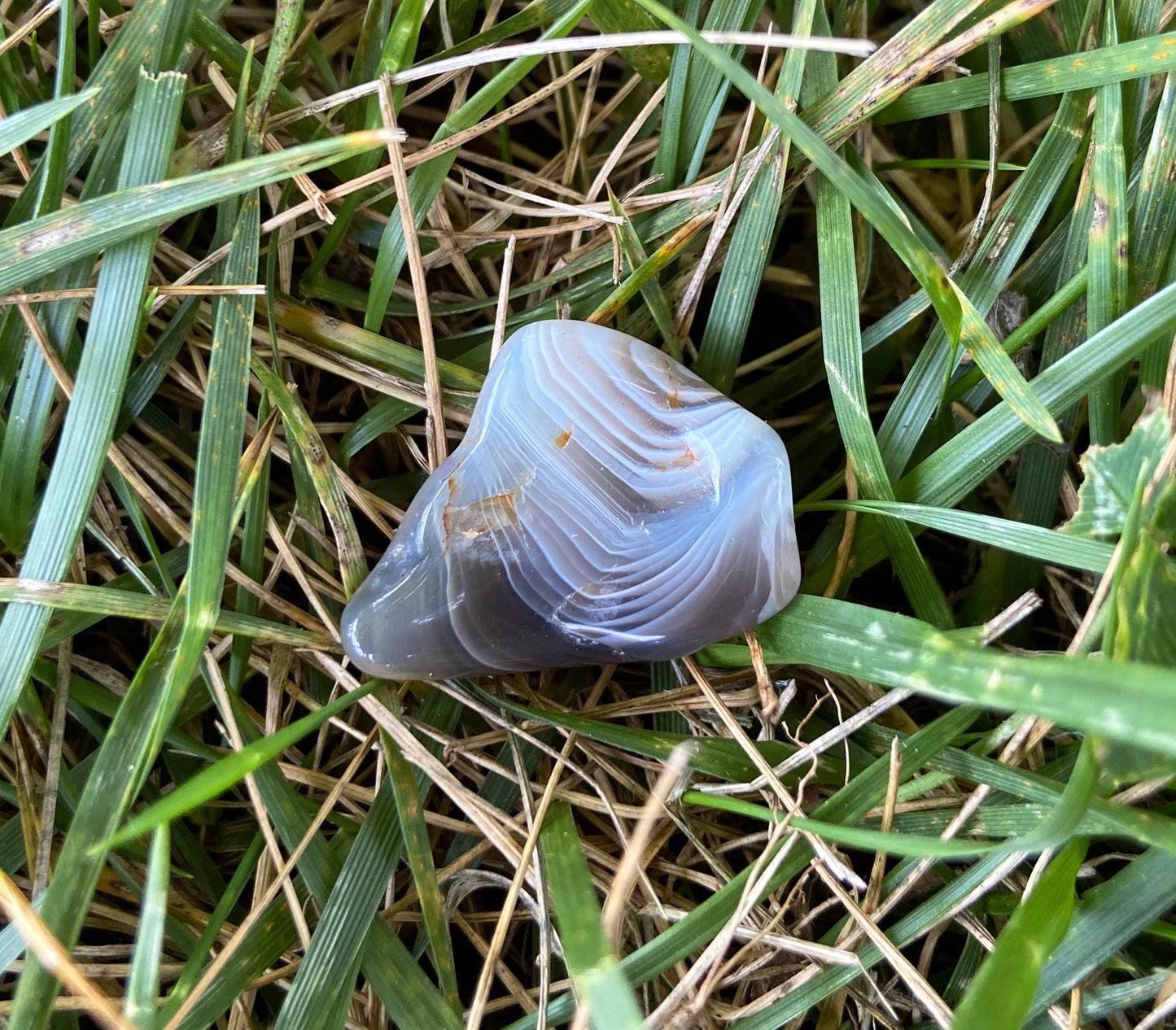Zentron Tumbled Grey Botswana Agate Gemstones in Velvet Bag (1/2 Pound)