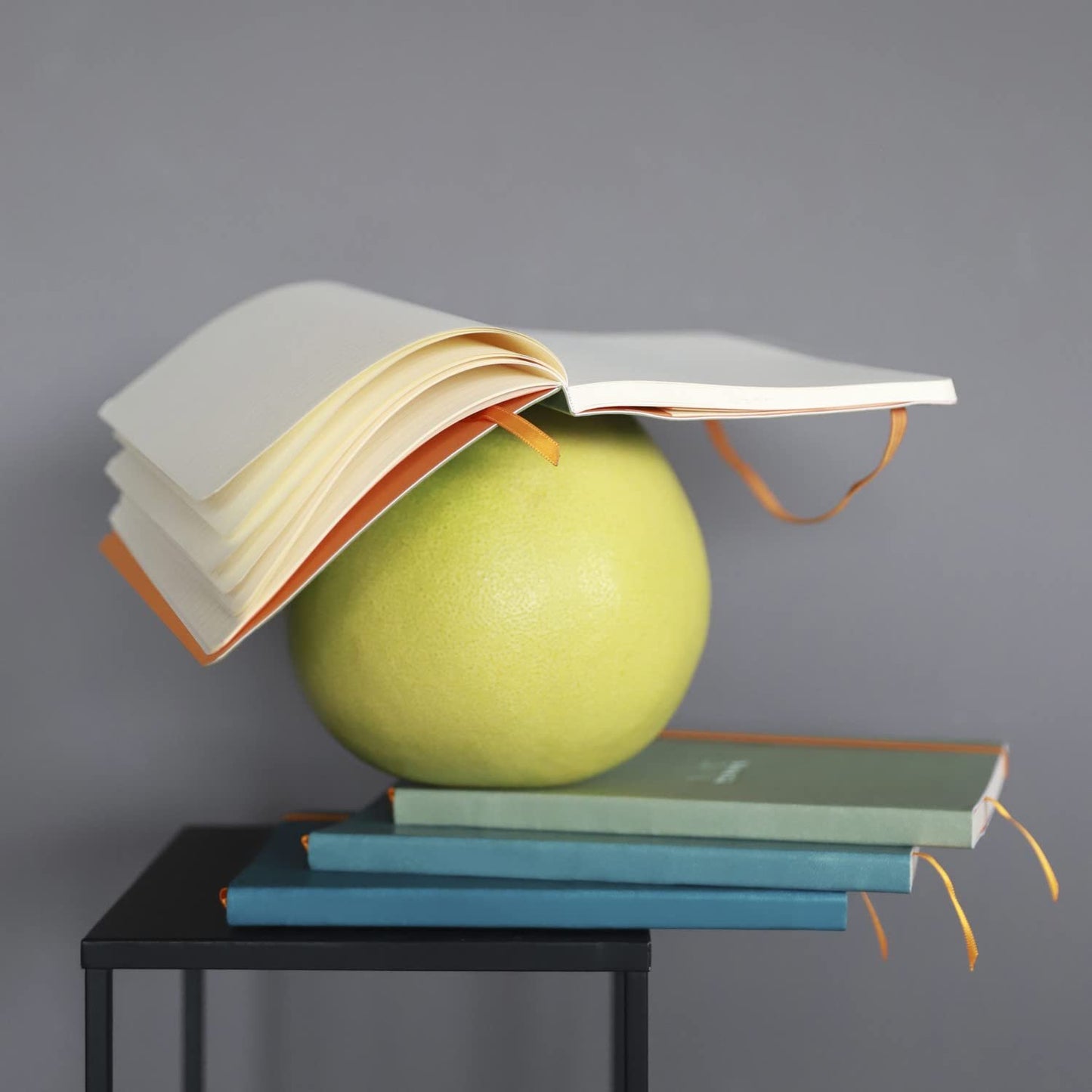 Rhodia Rhodiarama Leatherette Softcover Notebook