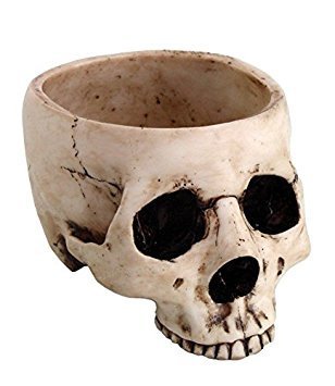 Skeleton Skull Medium Kitchen Bowl Figurine