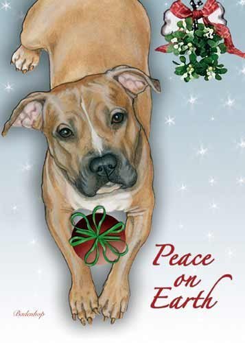 Pipsqueak Pit Bull Christmas Cards Set of 10 cards & 10 envelopes
