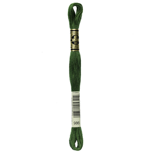 Dmc 6-Strand Embroidery Cotton 8.7yd-Very Dark Forest Green