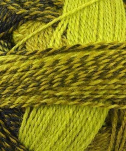 Schoppel Wolle - Zauberball Crazy Knitting Yarn - Green/ Pink/ Mint (# 2170)