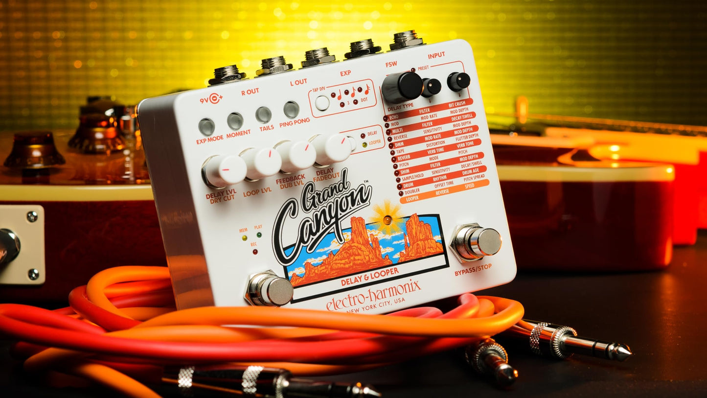 Electro-Harmonix Grand Canyon Delay & Looper Pedal