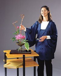 Japanese Michiyuki Pattern