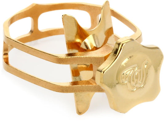 Theo Wanne LIG-EAX Enlightened Alto Saxophone Ligature - Extra Large
