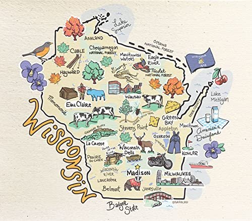 Wet-It! Swedish Dishcloth States – Reusable Paper Towels, Highly Absorbent & Biodegradable Dish Cloths, Non-Scratch, Durable, Machine Washable Cleaning Towels