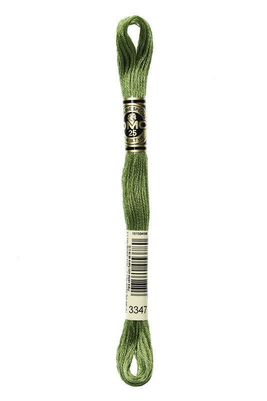Dmc 6-Strand Embroidery Cotton 8.7yd-Medium Yellow Green