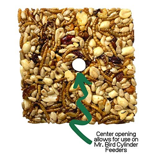 12-Pack of Mr. Bird Bugs, Nuts, & Fruit Small Wild Bird Seed Cake 6 oz.