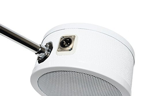 Solomon Mics Lofreq Sub Mic Microphone