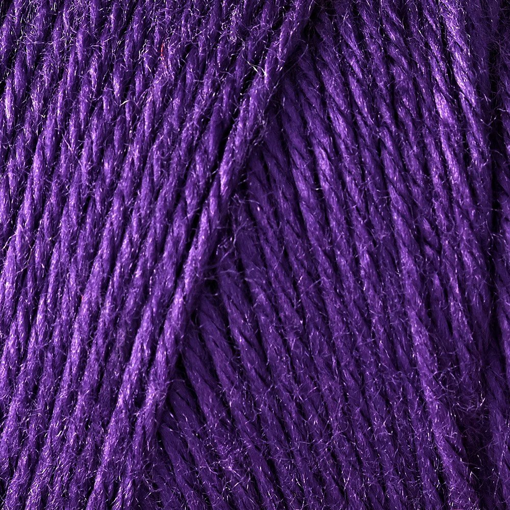 Bulk Buy: Caron Simply Soft Yarn Solids (2-pack) (Purple)