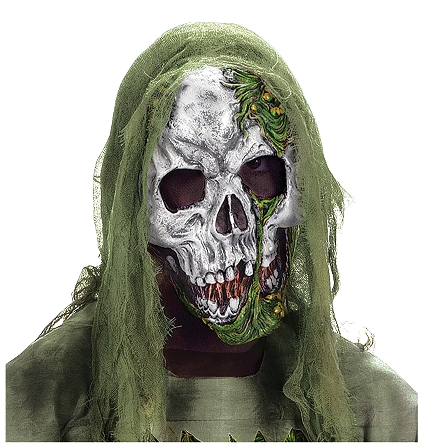 Skeleton Zombie Child Costume Fun World Kids
