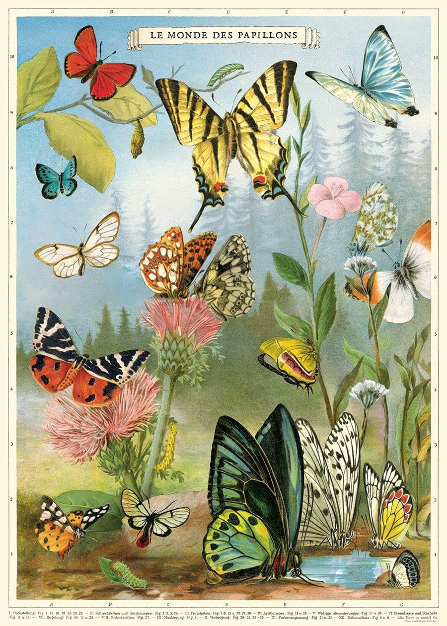 Cavallini Decorative Paper - Butterflies No.4 20"x28" Sheet