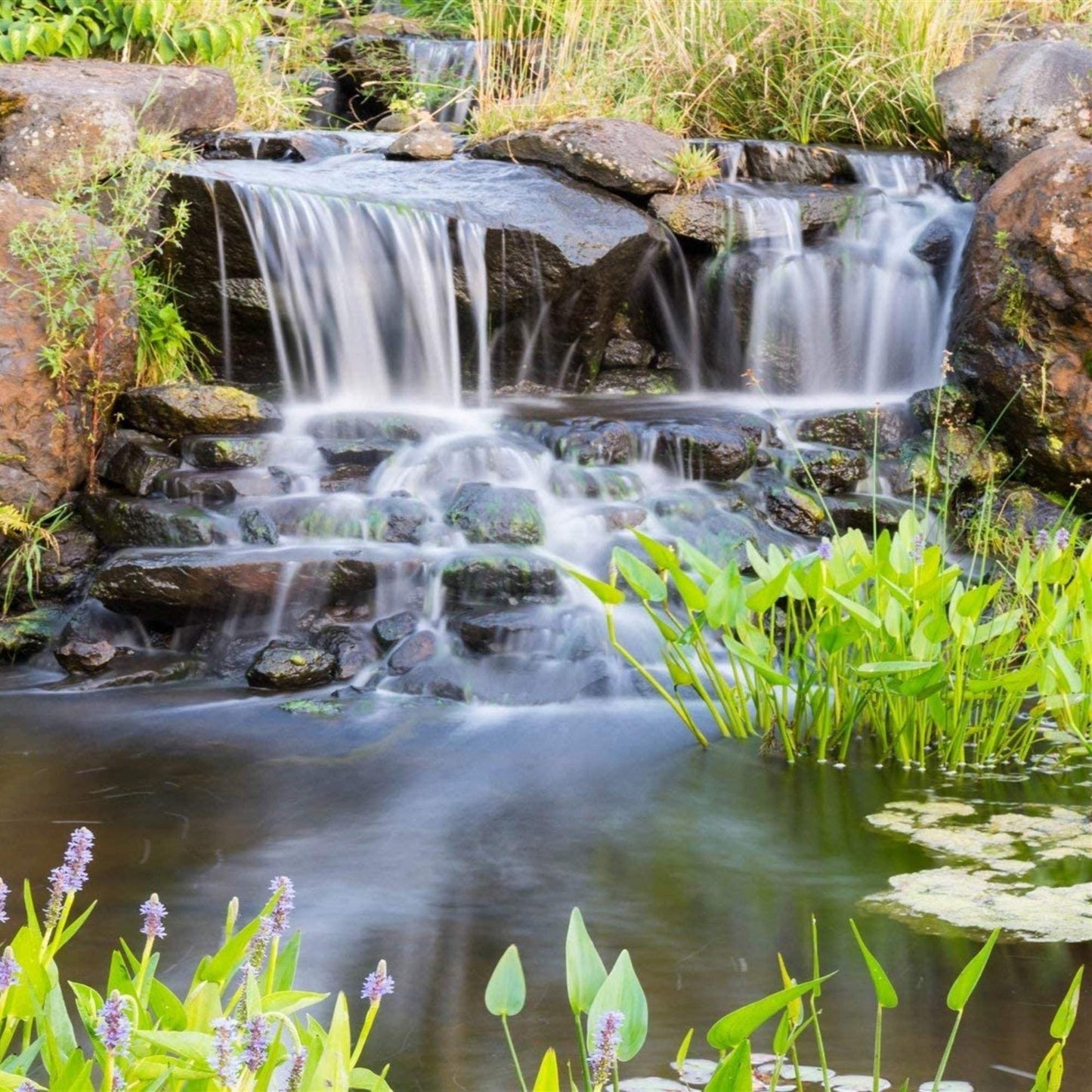 Anjon Manufacturing Replacement Anode REP-Anode