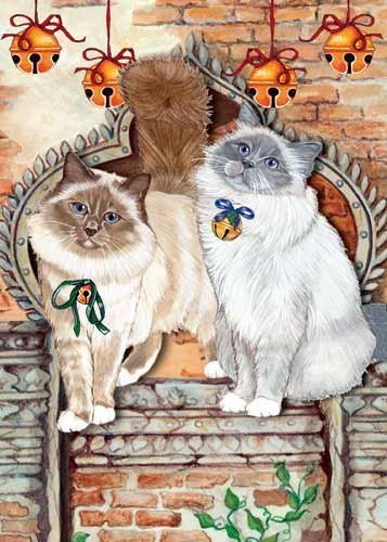 Pipsqueak Birman Cat Christmas Cards : 10 Holiday Cards Red Envelopes - Adorable!
