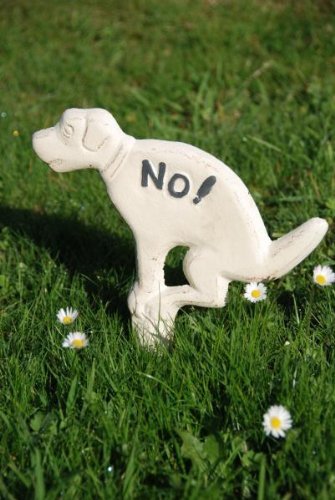 Esschert Design USA No Pooping Yard Sign