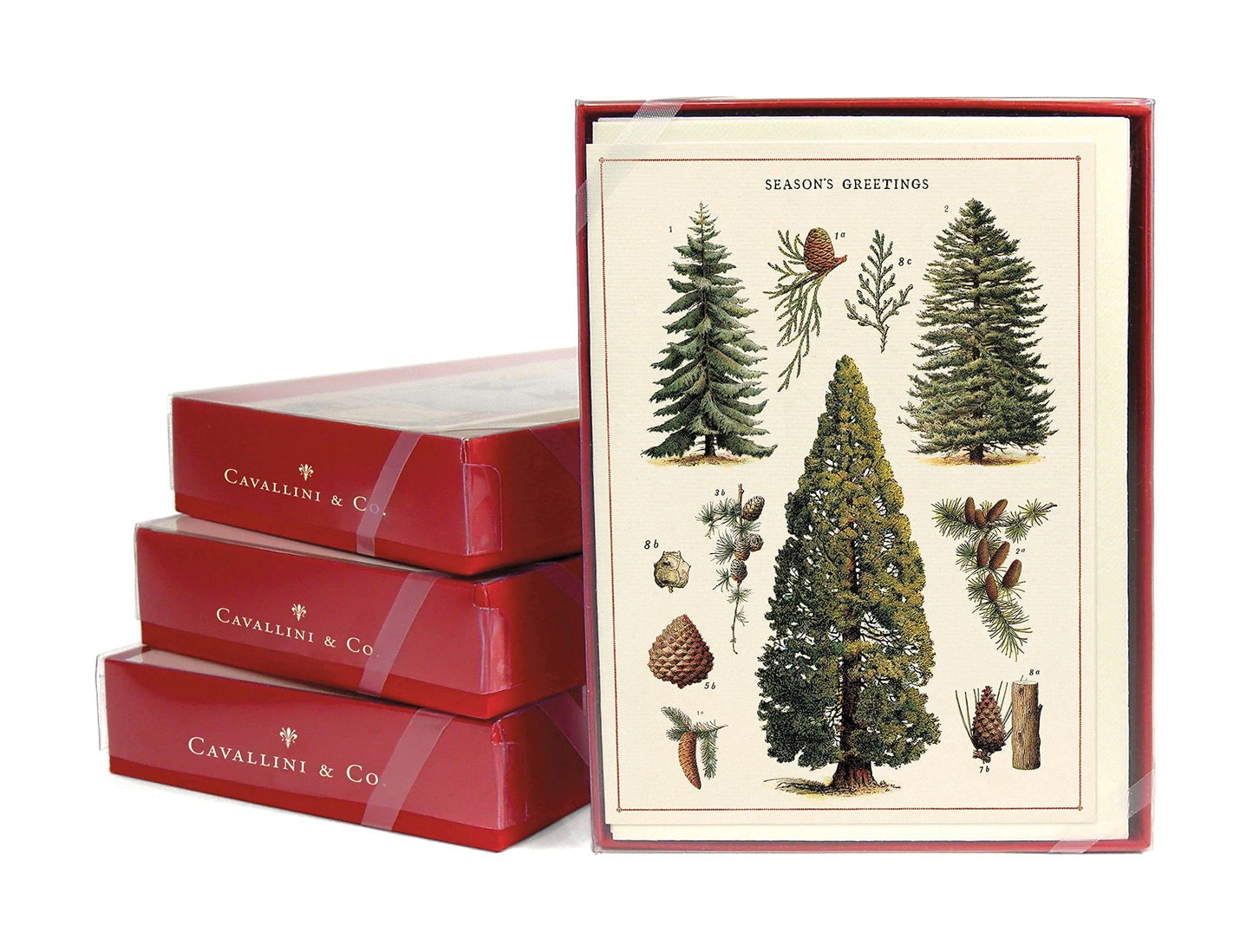 Cavallini Christmas Trees Glitter Boxed Notes, Set of 10 (GGHOLBOX36)