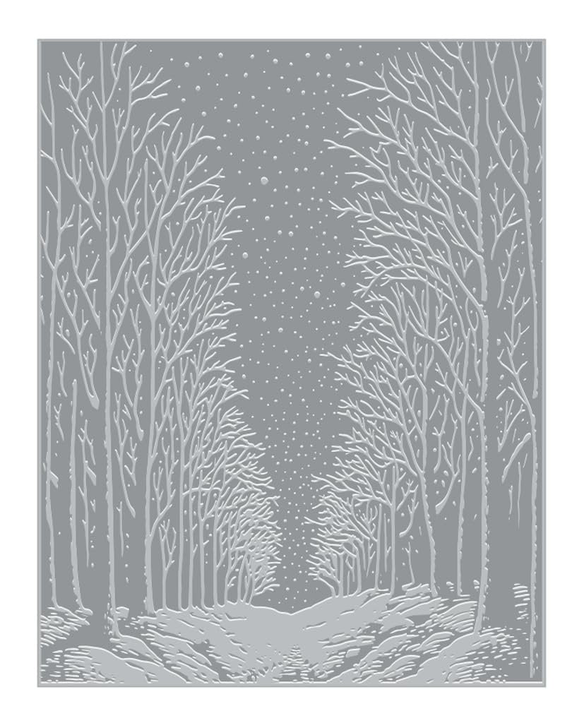 Hero Arts HP101 Snowy Night Letterpress and Foil Plate