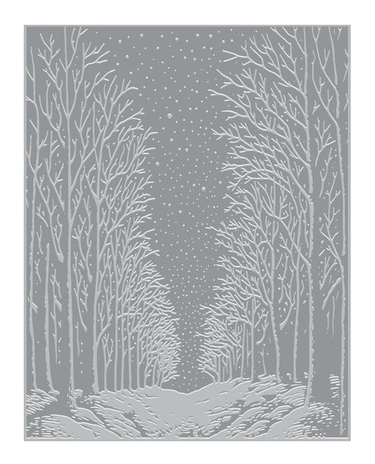 Hero Arts HP101 Snowy Night Letterpress and Foil Plate