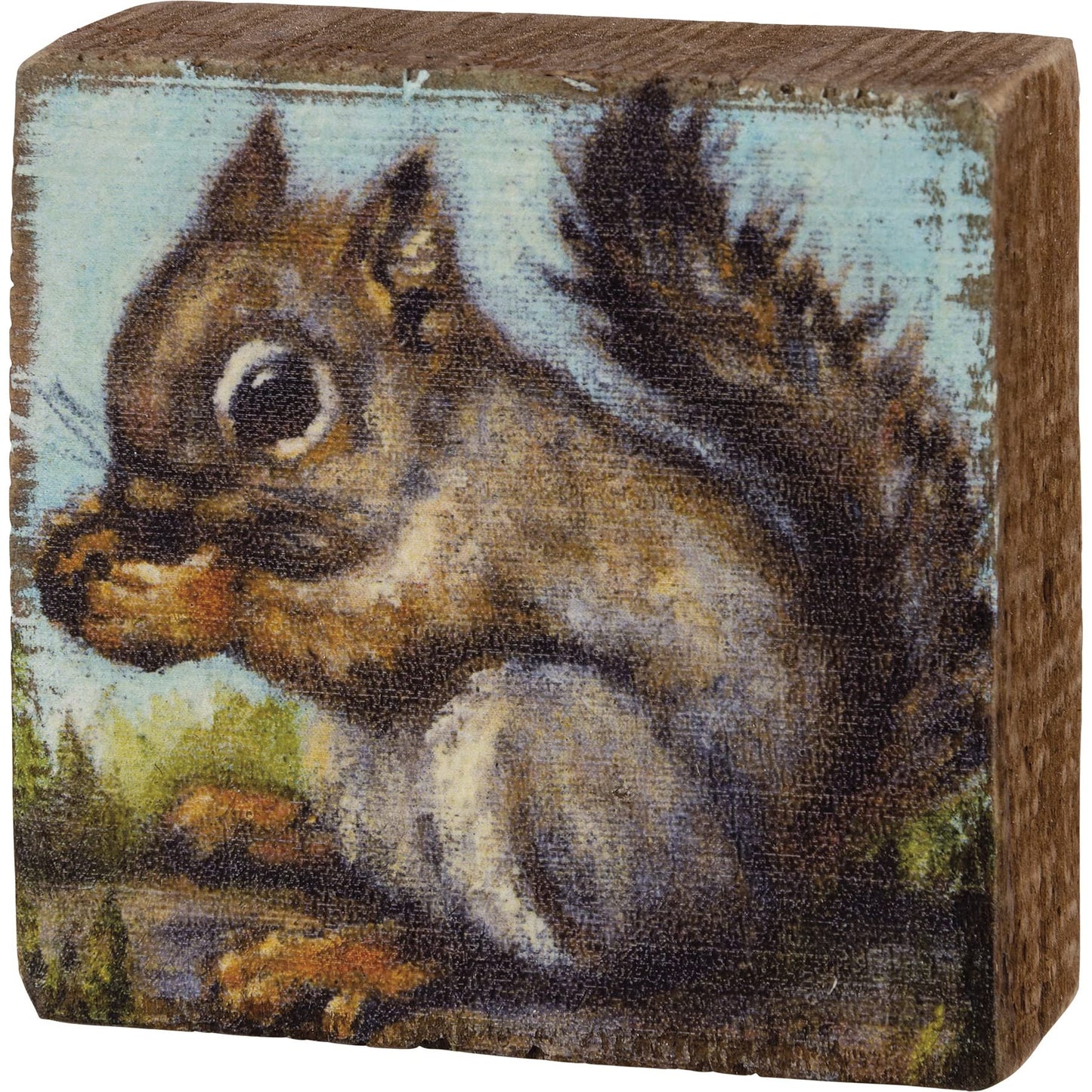 Squirrel With Acorn Decorative Wooden Block Sign 2.5 Inch