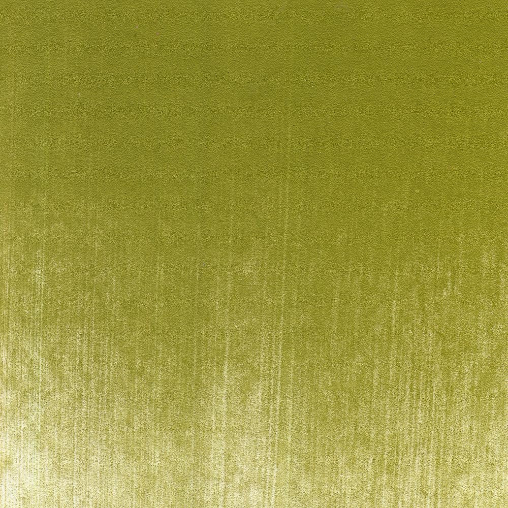 PanPastel Artist Pastels by GOLDEN, Bright Yellow Green Shade, 2.44” / 62mm Pan Diameter, Professional Artist Pastels, Unique Pan Format (cake-like)
