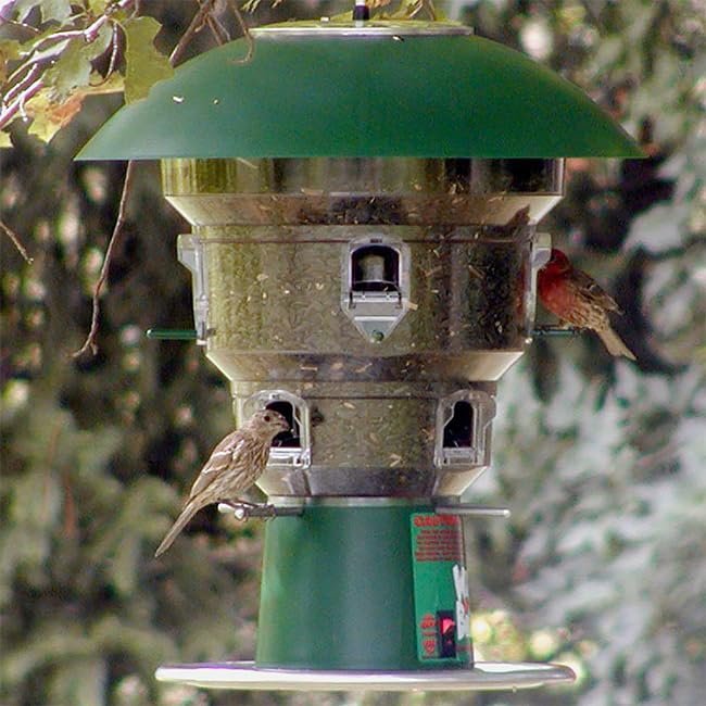 Wild Bills Electronic Bird Feeder & Waste Free Seed, 8 Port