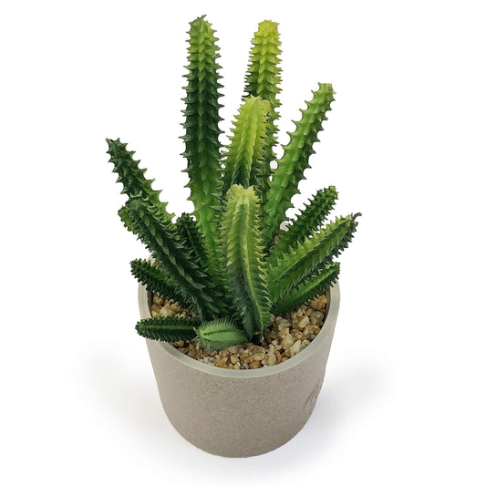 allgala Small Desktop Artificial Succulent Plant Indoor and Outdoor Indoor Fake Plants with Natural Clay Pot