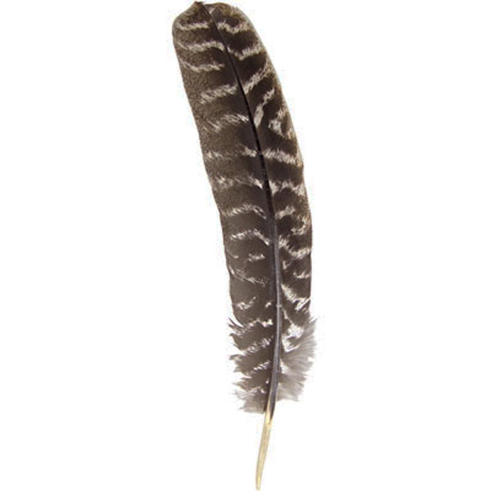 Smudge Turkey Feather
