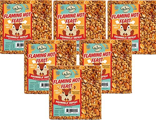 6-Pack of Mr. Bird Flaming Hot Feast Small Wild Bird Seed Cake 4 oz.
