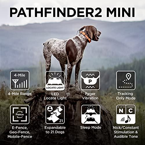 PATHFINDER2 Family