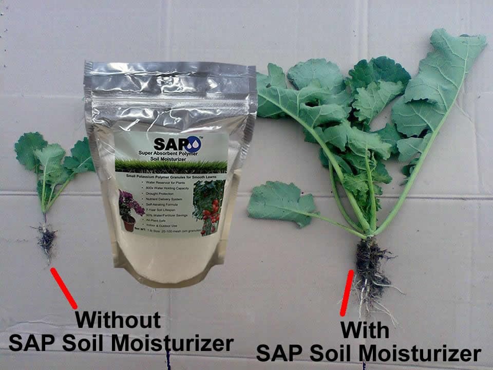 Soil Moist Sap Super Absorbent Polymer Water-Storing Crystal Gel Commercial Grade