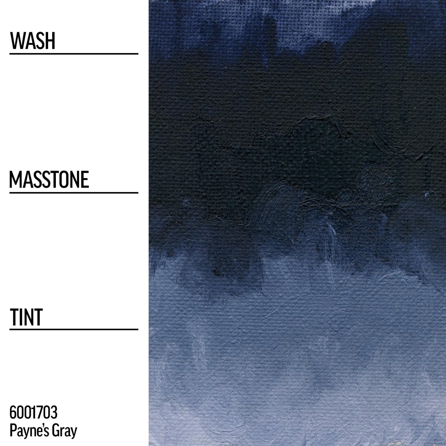 Williamsburg Artist Oil Colors by GOLDEN, Black, Gray and White, Professional Oil Paint