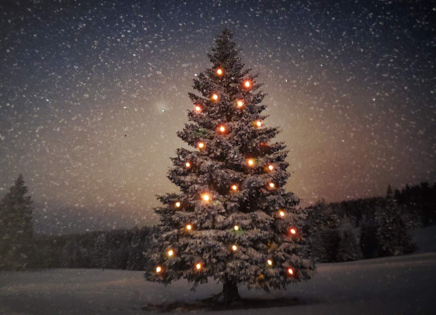 Oak Street Christmas Winter Scenes LED Art 8"x6" Tabletop Canvas Light up Picture 6 Hour Timer (8"x6", Winter Christmas Tree OSW177794)