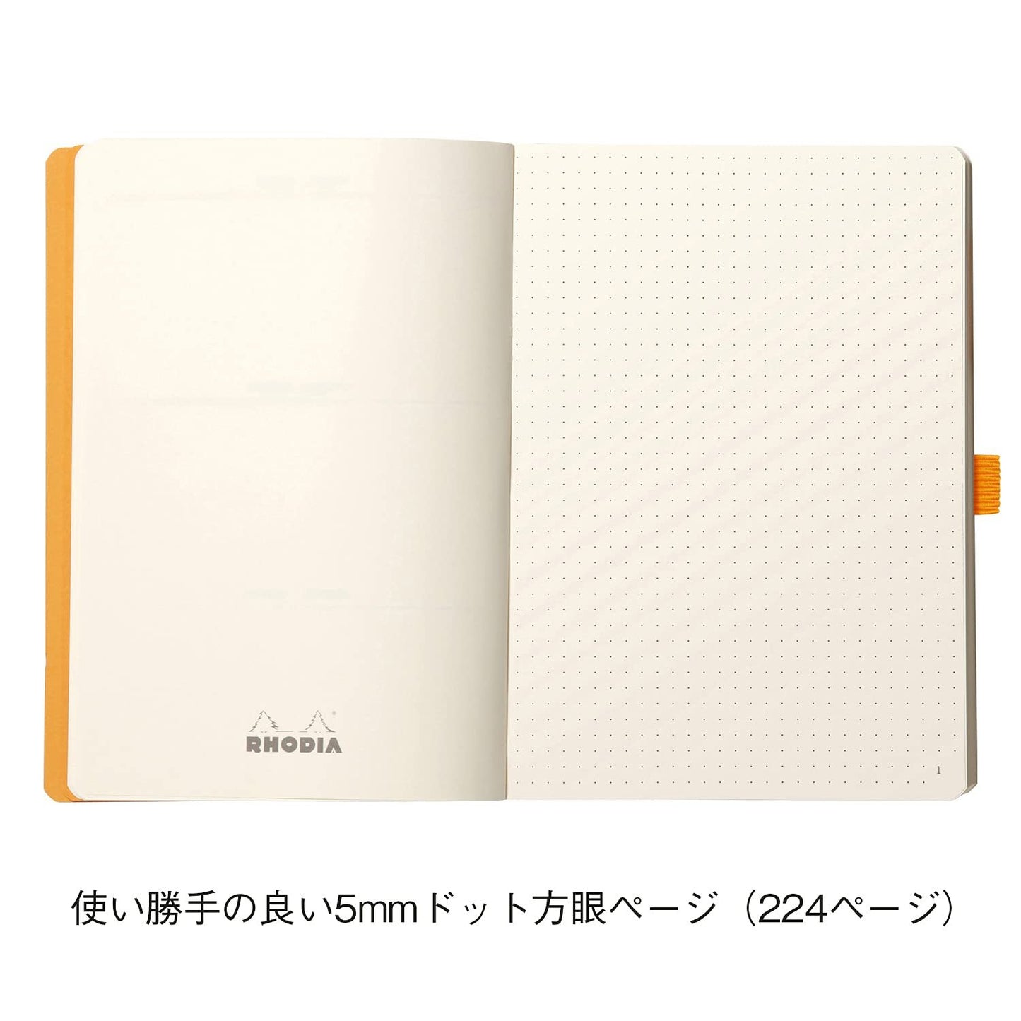 Rhodia Goalbook